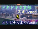 【WoWS】【ネタばれ注意】スキン・ボイスmod作りました。「ドキドキ文芸部」＆「オリジナル１」