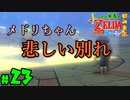 【小さな勇者の飲み実況】ゼルダの伝説 風のタクト HD part23【24歳フリーター】