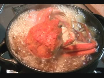 今夜は　カニ鍋よ！10 飯目