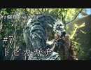 【MHW】双剣で一狩りいこうか【実況】#7/トビカガチ