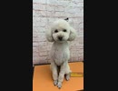 いぬくら20.2.7