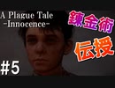 【ホラー】錬金術が教えてもらえる！？【A Plague Tale Innocence】#5