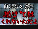 【実況】新約・加速するスカイリムの旅 Page417