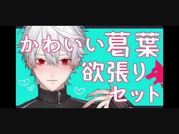 【 ここすき 】かわいい葛葉欲張りセット