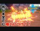 ナックラーだけでガラルを制しようとする男。#1[ポケモン剣盾縛りプレイ]