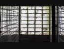 木漏れ日の迷宮 - mozell
