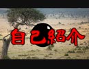 【自己紹介】バーチャルタピオカの木屋鯖たぴおだ！！