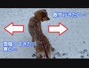 散歩行こうかどうしようか行きたいし雪降ってるし寒いし戻ろうかやっぱ行こうか（文字数）