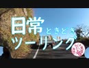 日常ときどきツーリング。【旧 国道135号線】
