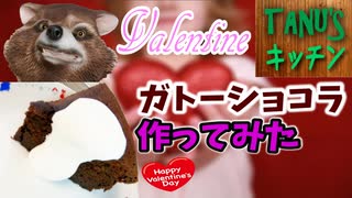 【TANU'S キッチン】たぬきがバレンタインのためにガトーショコラを簡単に作ってみた