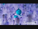 Sound5