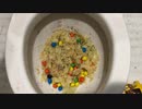 M&M'sとポテトチップスをトイレに流してみた２