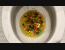 M&M'sとメントスをトイレに流してみた２