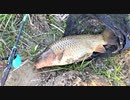 【釣り・VLOG】荒川温泉・温排水(荒川第一調整池排水門)でルアーで鯉釣り＠おまけ動画は見次公園と石川島公園の釣行【iPhone XS】