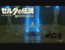 【ゼルダの伝説BotW】記憶喪失だけどちょっと世界救ってくるPart8【実況】