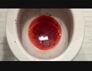 M&M'sを色別にトイレに流してみたのまとめ１