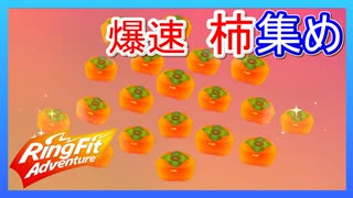 リングフィットアドベンチャー 爆速柿集め！【ドロップ率検証付】