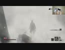 【実況】片手縛りのSEKIRO　part16