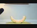 Rabbit Eating Melon ASMR