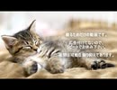 快眠～PCにタイマーを掛けて寝るための動画シリーズ１～