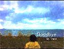 Goodbye