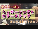 【ピアノ】シュガーソングとビターステップ アニメ「血界戦線」ED  UNISON SQUARE GARDEN