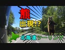 W650で九州から北海道へ！北海道ツーリング　2019 夏　6日目 富良野・美瑛編