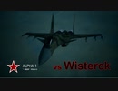 Ace Combat 7 Extra212 バトルロイヤル Wisterck氏とのタイマン総集編
