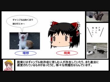 月読アイの猫でも分かる経済の話その２「投資、投機、ギャンブル」