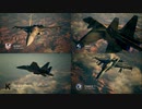 Ace Combat 7 Multiplayer644 バトルロイヤル F-15C + PLSL