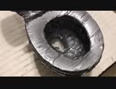 トイレをダクトテープで加工してみた