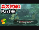 【実況】今年で定年を迎える父をハイラルの大地に放り込むPart96【ゼルダの伝説BotW】