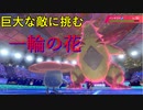 【ポケモン剣盾】剣盾で銃を放つ男の対戦実況　3話(ホイップフレイムフラワーorアクアドリルフレイム)