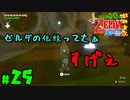【小さな勇者の飲み実況】ゼルダの伝説 風のタクト HD part25【24歳フリーター】