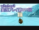 探し人を求めてwitcher3実況プレイ第111回
