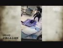 子供の死体