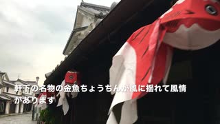 江戸時代の商家が残る〜【白壁の町並み】と金魚ちょうちんの街「柳井」令和二年１月　山口県柳井市金屋