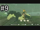 世界を冒険するべく「ゼルダの伝説 ブレスオブザワイルド」実況　part9