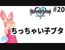 無知過ぎるキングダムハーツ#20【100エーカーの森・寄り道編】