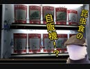 のっけ'sクッキング～恐怖の昆虫食編～
