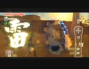 砂漠now！　ゼルダの伝説　スカイウォードソード　part14