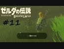 【ゼルダの伝説BotW】記憶喪失だけどちょっと世界救ってくるPart11【実況】