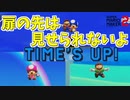 タイムアップギリギリで扉に入ったら、先を見せてもらえないんだが[マリオメーカー2]