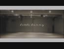 【saka】little bunny 踊ってみた【オリジナル振付】