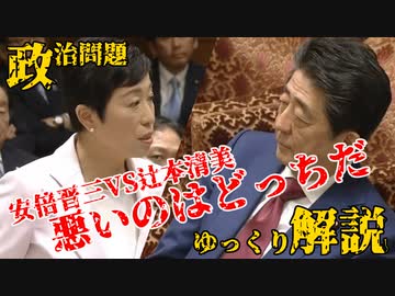 【ゆっくり解説】意味のない質問だよ、は実は質問ですらないただの暴言だった【辻本清美VS安倍晋三】