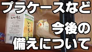 いいちこインコさんの誤嚥トラブル・その6(最終報告)