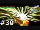 【実況】ゼルダの伝説 風のタクト 実況風プレイ Part30