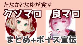 元vtuberたなかさんとなゆさんマロまとめ