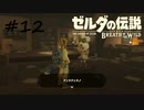 【ゼルダの伝説BotW】記憶喪失だけどちょっと世界救ってくるPart12【実況】