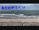 海を眺めるだけ